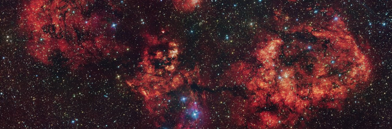 Una Nueva Imagen Capta en el Cielo las Señales de un Terrorífico Murciélago