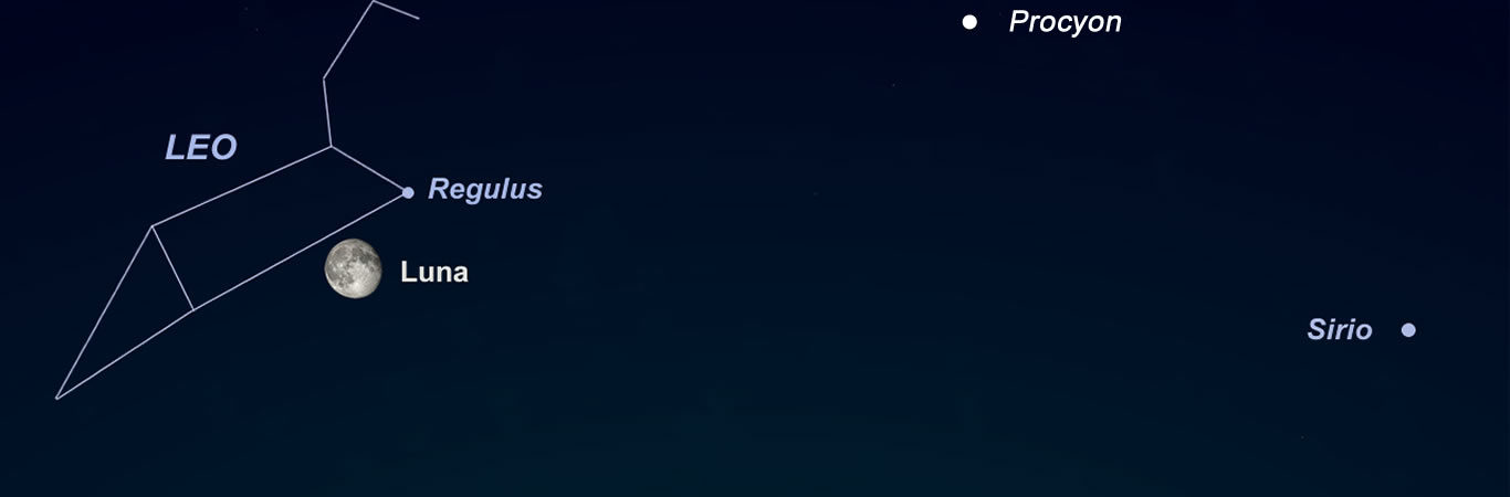 <br>6 de Enero: Conjunción de la Luna y Regulus