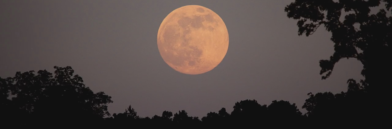 Ya Está Aquí la Primera Luna Llena de la Primavera: La Luna Rosa de Abril