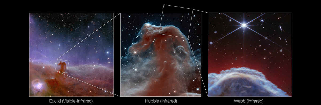 Webb Captura la Icónica Nebulosa Cabeza de Caballo con un Detalle sin Precedentes