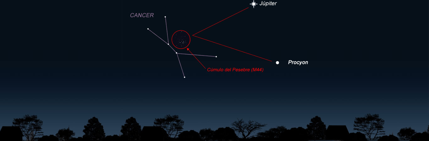 ¿Has Visto el Cúmulo del Pesebre en el Cielo?