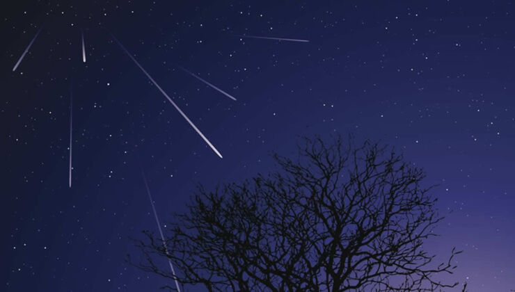 Espectáculo de Estrellas Fugaces: Ya Están Aquí las Táuridas 2024