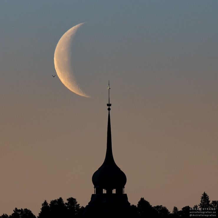 La Luna Alcanza su Fase de Cuarto Menguante