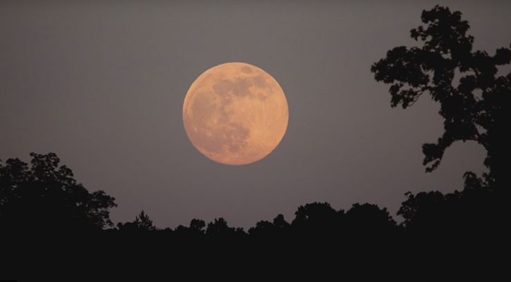 Martes 7 de Abril: Espectacular Superluna Rosa