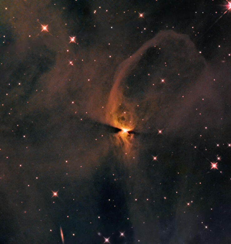 El Hubble Espía Estrellas Recién Formadas Incubando en IC 2631
