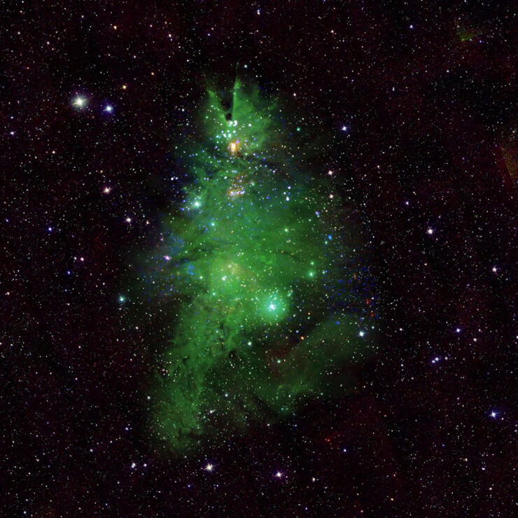 Espectacular Imagen de un Árbol de Navidad Cósmico