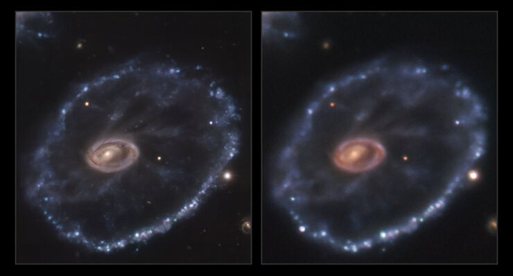 Algo Nuevo en los Cielos: la Aparición de una Supernova