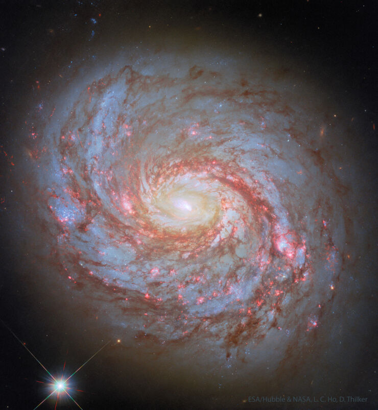 M77: Galaxia Espiral con un Centro Activo