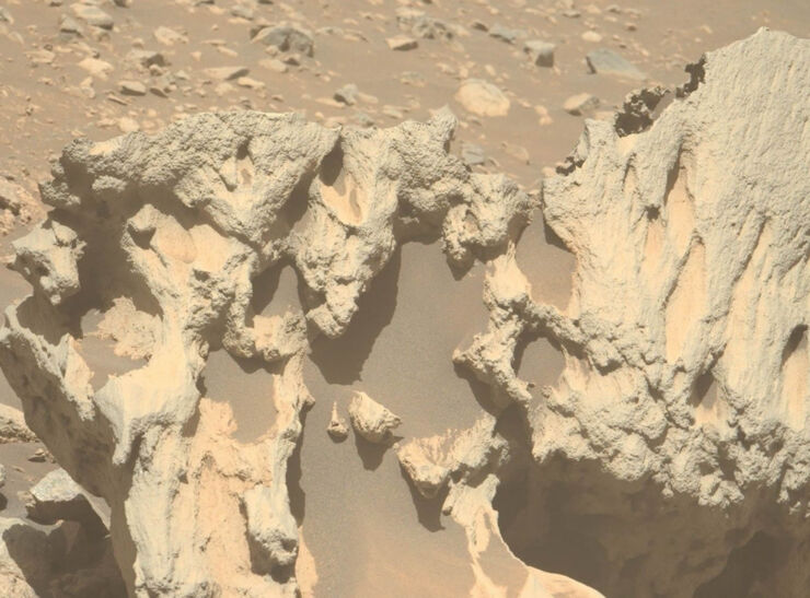 Primer plano de Phippsaksla