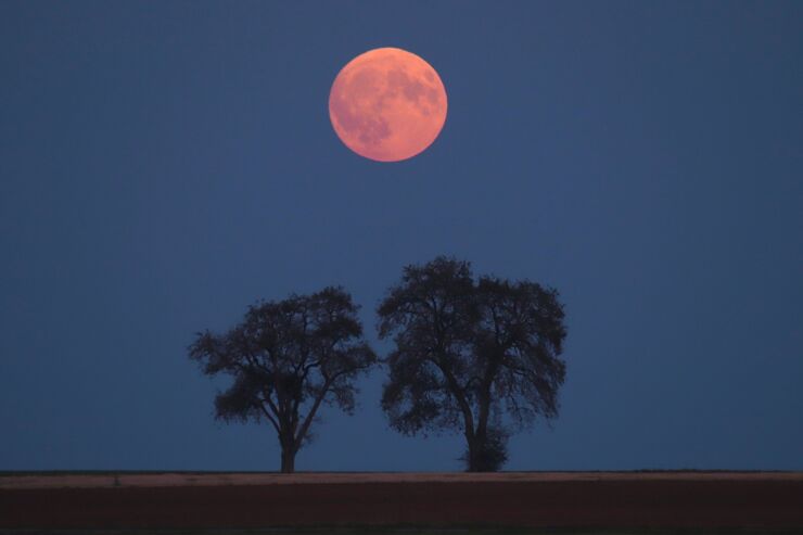 Ya Está Aquí la Primera Luna Llena de la Primavera: La Luna Rosa de Abril