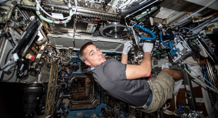 Los Astronautas Dejan "Huella Digital Microbiana" en la Estación Espacial