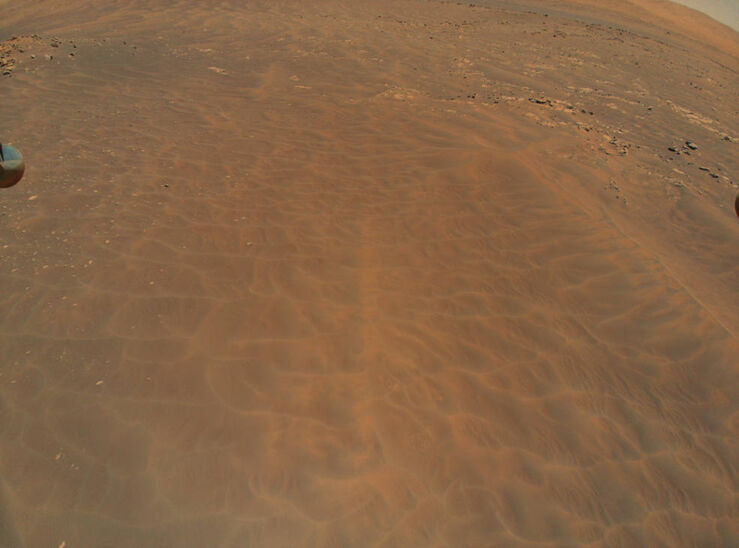 Campo de dunas en una región del Cráter Jezero apodada 