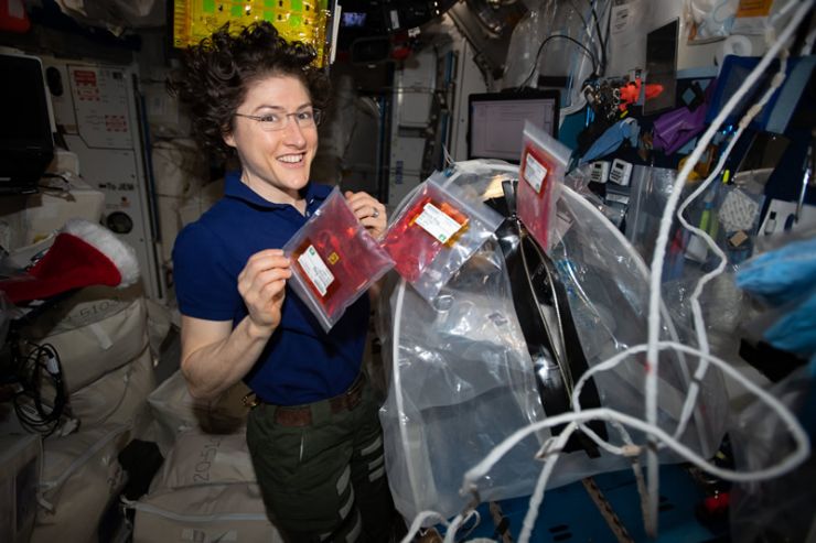 Christina Koch Bate el Récord de Permanencia Femenino en el Espacio