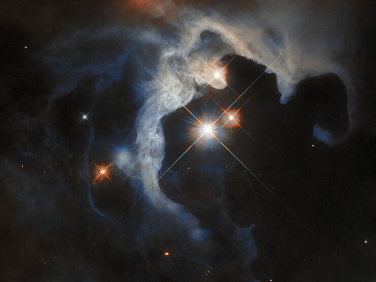 Las Jóvenes Estrellas de Tauro