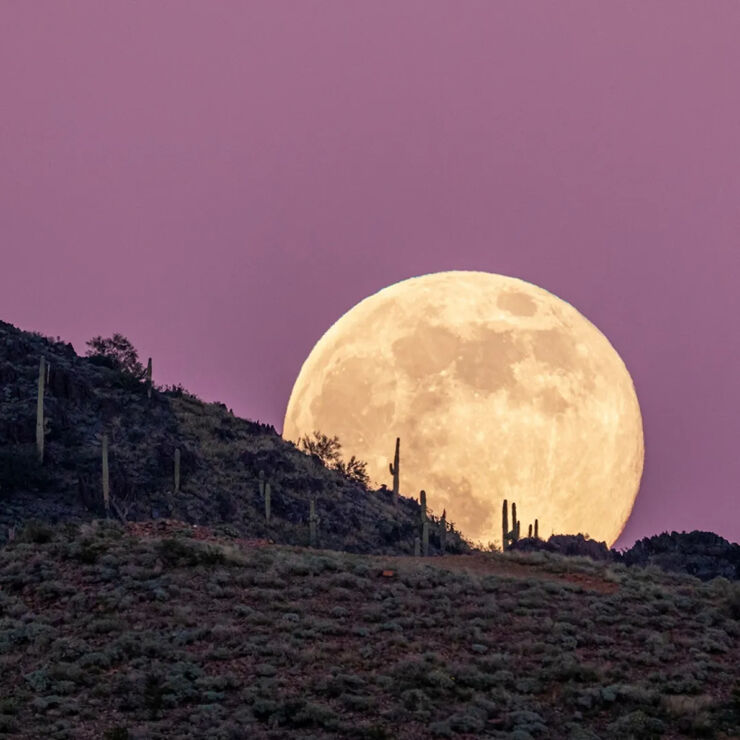 Ya Está Aquí la Primera Superluna del Año: La Luna del Lobo